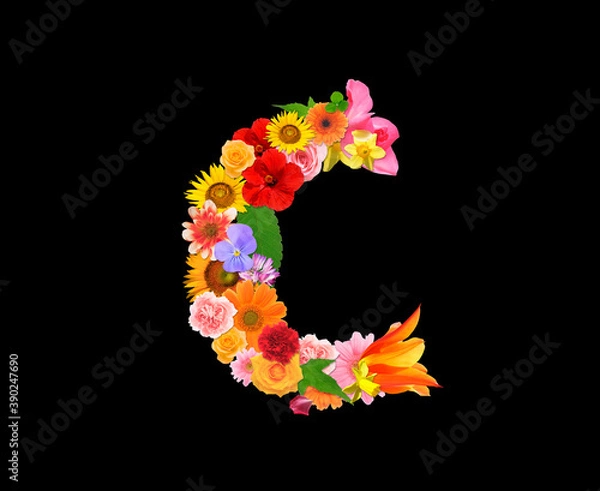 Fototapeta 花の文字,c