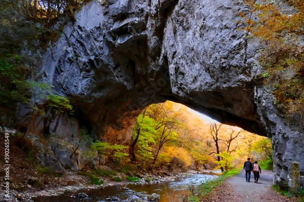 Obraz 広島県帝釈峡　紅葉の雄橋
