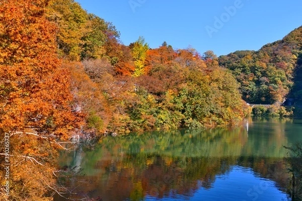Obraz 広島県帝釈峡　神竜湖の紅葉
