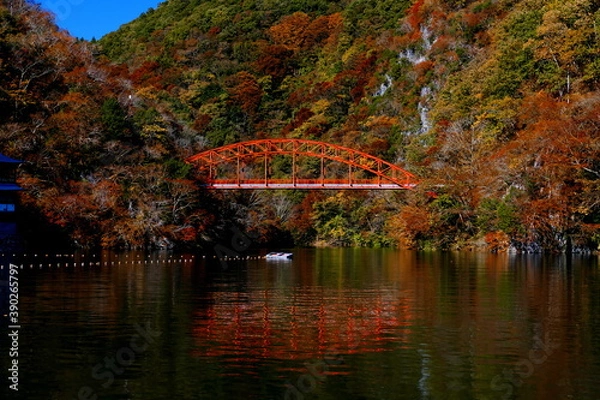 Obraz 広島県帝釈峡　神竜湖の紅葉
