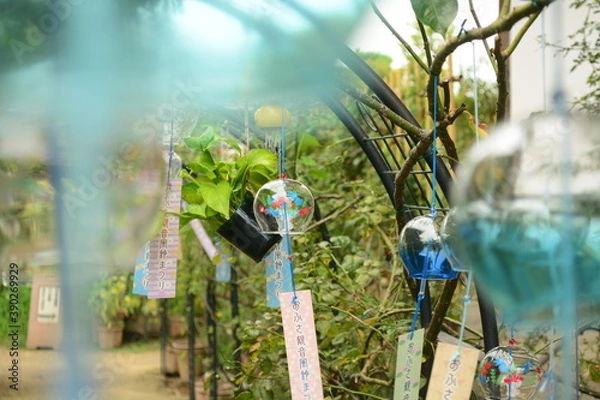 Obraz おふさ観音の風鈴まつり