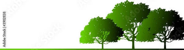 Obraz trees on earth line