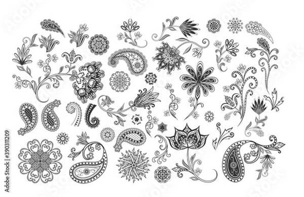 Obraz Vector decorative design Paisley, floral elements.