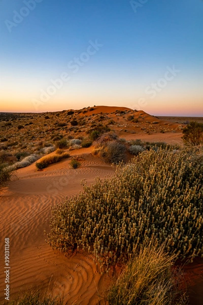 Obraz Australian Outback