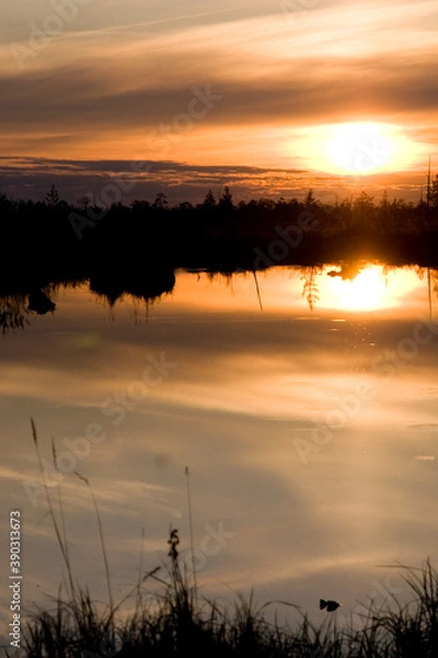 Obraz Lake in the forest at sunset.