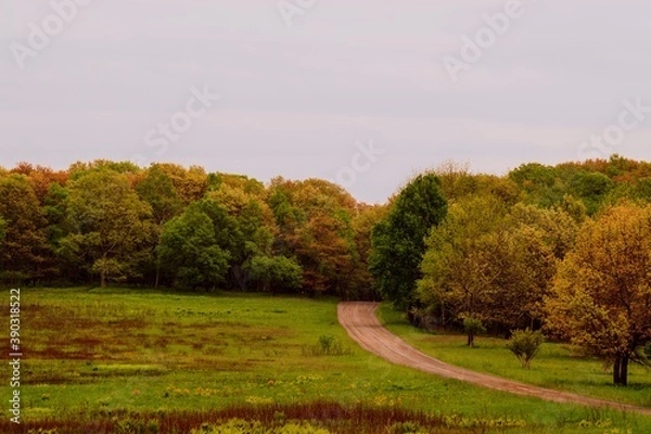 Fototapeta Road Not Taken