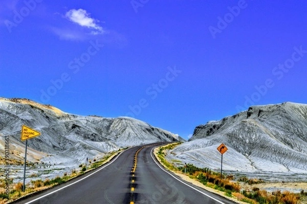 Obraz Road Not taken