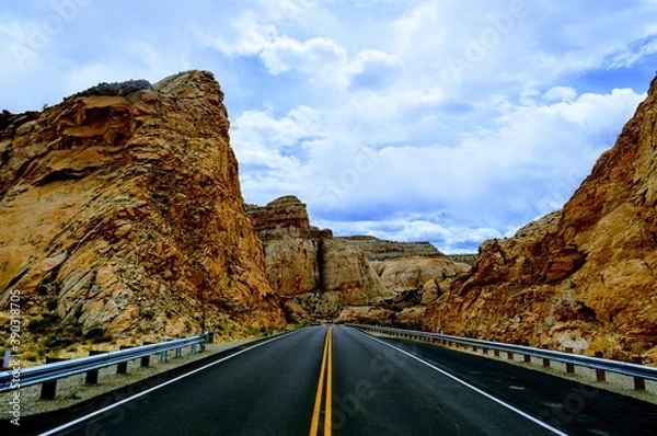 Obraz Road not taken