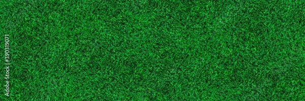 Obraz horizontal green turf texture for pattern and background