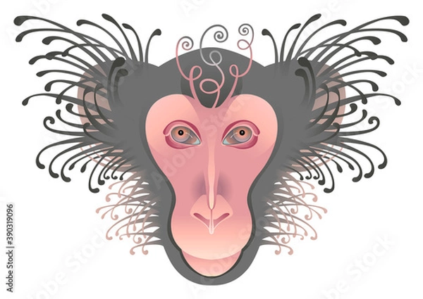 Fototapeta The stylized image of the head of a Japanese macaque. A monkey. Vector graphics