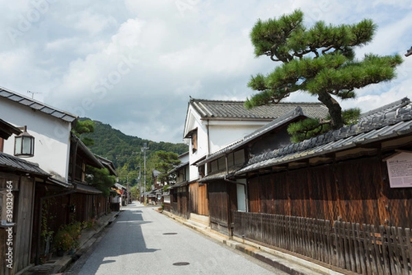 Fototapeta 近江商人の町並と見越しの松