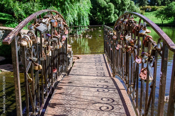 Obraz Россия, город Киров, парк имени Кирова. Мост. Замки.