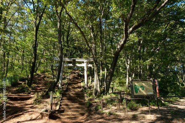 Fototapeta 浅間山公園（東京都府中市浅間町）