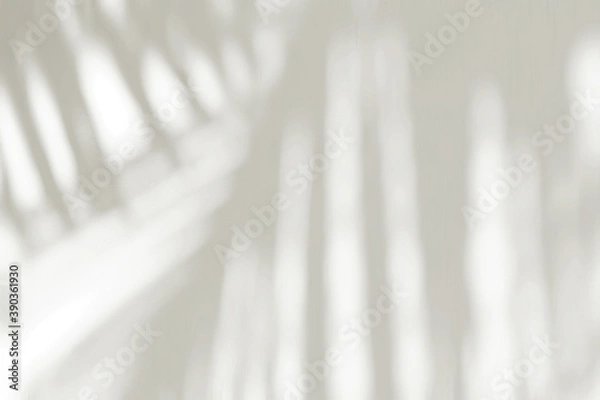 Obraz Shadow background. Natural leaves shadows and sunlight dappled on white wall, wallpaper. Tropical summer stationery mock-up. Blank business card, rose, gray paper. Palm leaf shadow overlay. Flat lay.