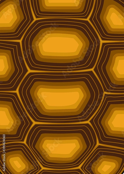 Obraz Vector illustration patterns,  sulcata, indian star tortoise shell, turtle shell seamless patterns in flat style for your design. 