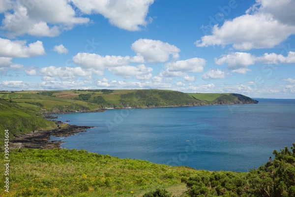Fototapeta Cornwall coast view towards Lansallos near Lantic Bay 