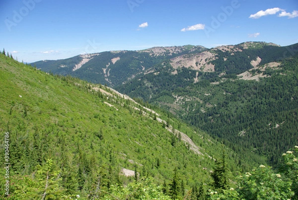Obraz National Forests.  St. Joe National Forest, Idaho. View from St. Joe Baldy Mountain.