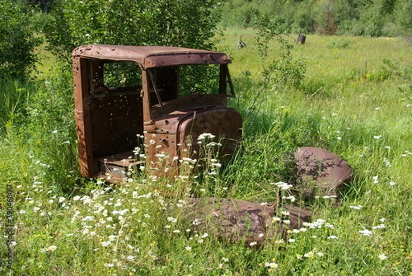 Obraz National Forests.  St. Joe National Forest, Idaho.  Rusting away in Marble Creek,