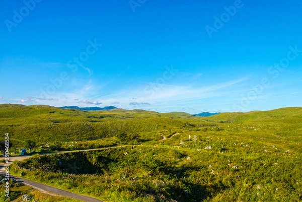 Fototapeta 快晴の秋吉台