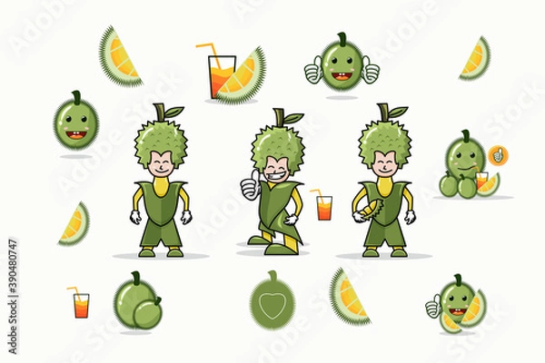 Fototapeta Fresh durian. creative set design vector template
