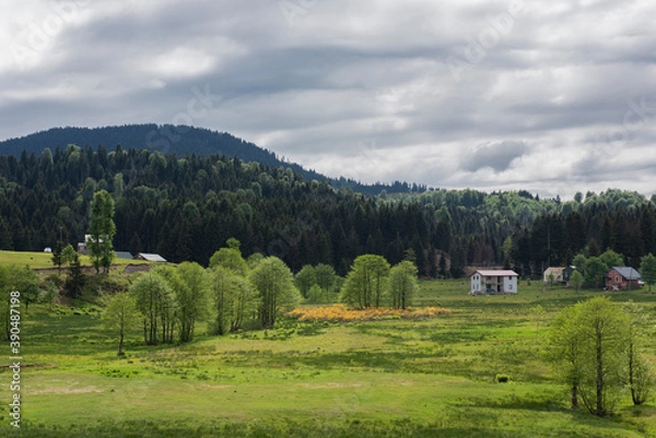 Obraz landscape in the mountains