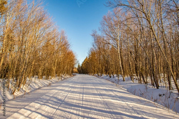 Obraz road in the snow