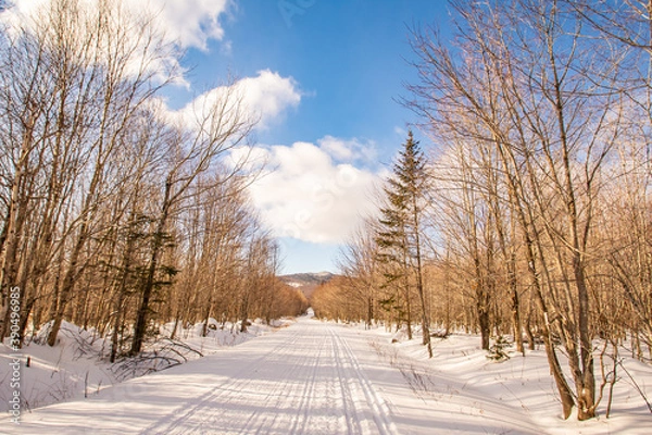Obraz snowmobile road in winter