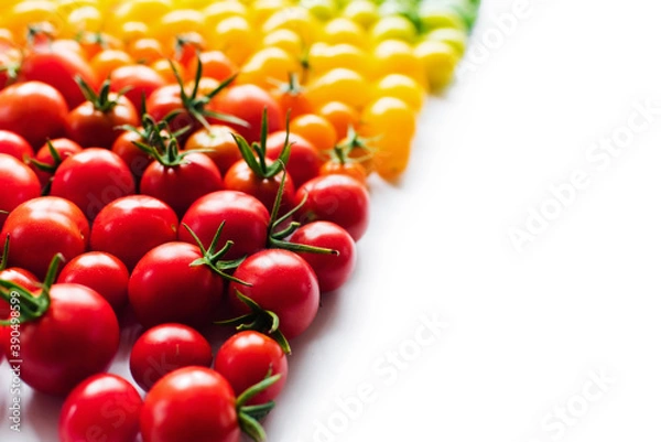 Fototapeta The harvest of tomatoes. Different color and varieties of tomatoes on a white background. Healthy and natural food. Vertical	
