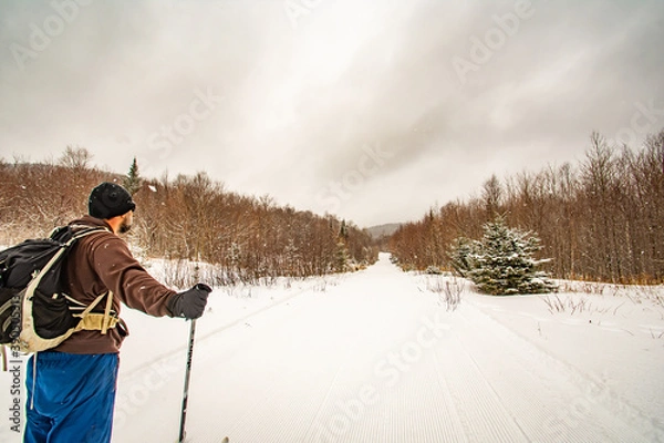 Obraz skier in mountain