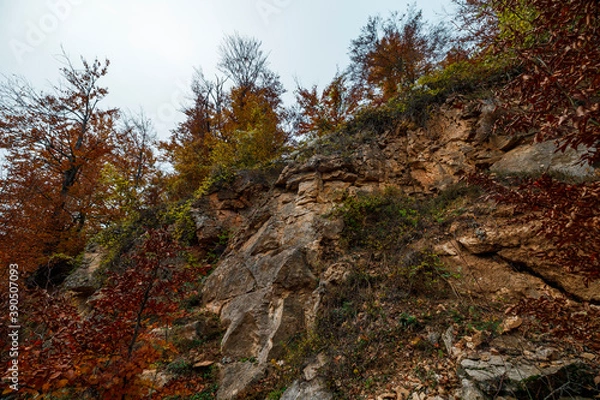 Fototapeta autumn in the mountains
