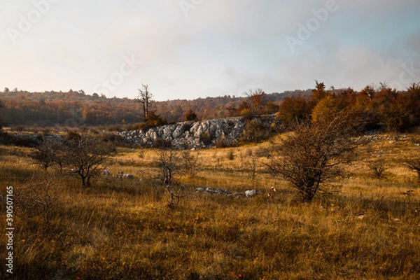 Obraz autumn in the mountains