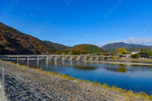 Obraz 嵐山の紅葉
