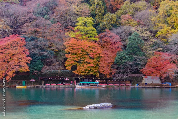 Obraz 嵐山の紅葉と屋形船