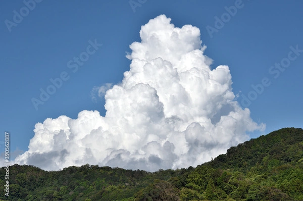 Fototapeta 入道雲