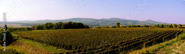 Fototapeta Kaiserstuhl z Tunibergu