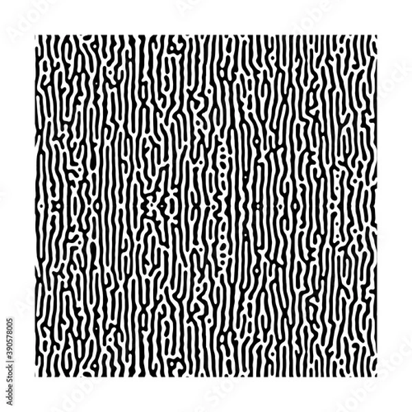 Fototapeta Seamless Reaction diffusion or turing pattern vector design caused by reaction–diffusion system similar to maze or coral pattern. organic and biological chemical reaction pattern