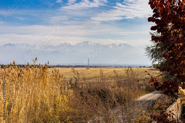 Fototapeta The foothills and steppe
