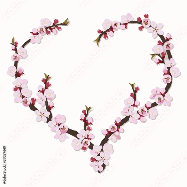 Fototapeta Branch of apricot flowers in the shape of heart