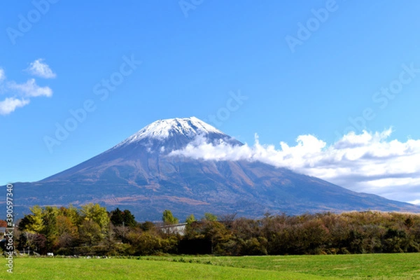 Fototapeta 朝霧高原から見える秋の富士山