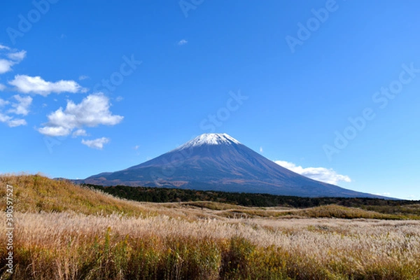 Fototapeta 朝霧高原から見える秋の富士山