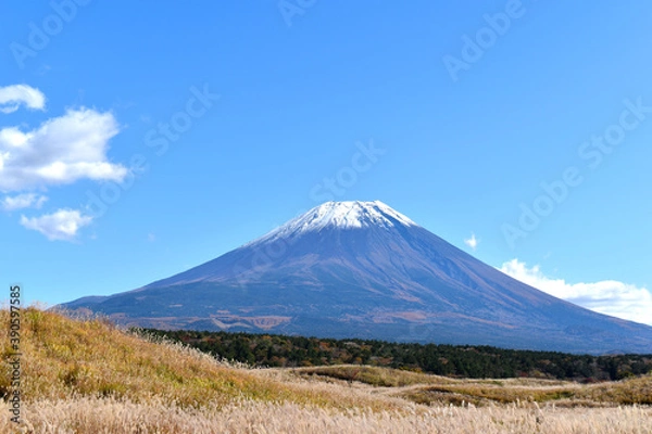 Fototapeta 朝霧高原から見える秋の富士山