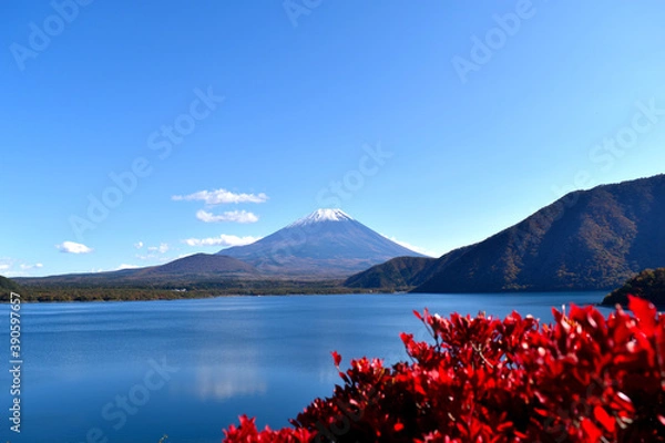 Fototapeta 本栖湖から見える秋の富士山