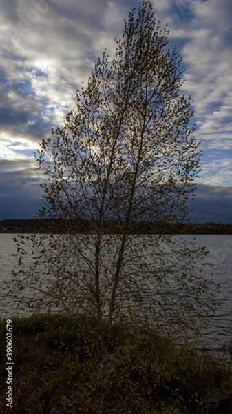 Fototapeta sunset over the river