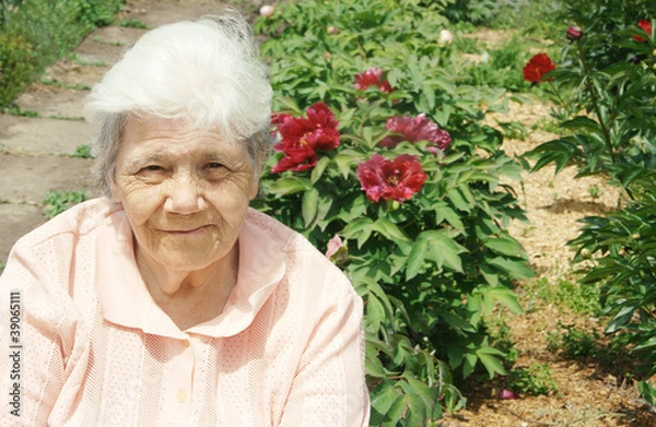 Obraz Old lady in peony
