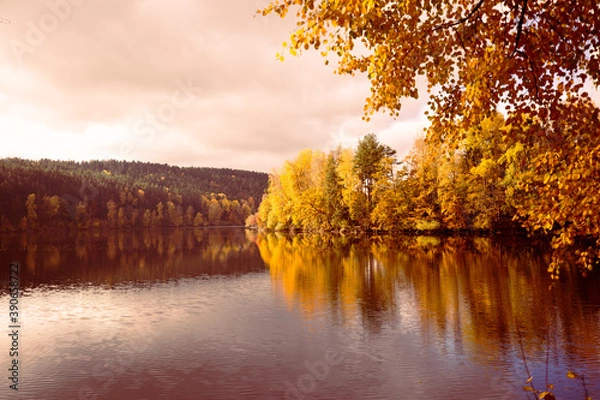 Obraz golden autumn, autumn landscape, reservoir in the Upper Palatinate, colorful leaves