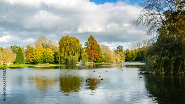 Obraz Parc du domaine provincial d'Hélécine avec quelques canards qui pataugent 