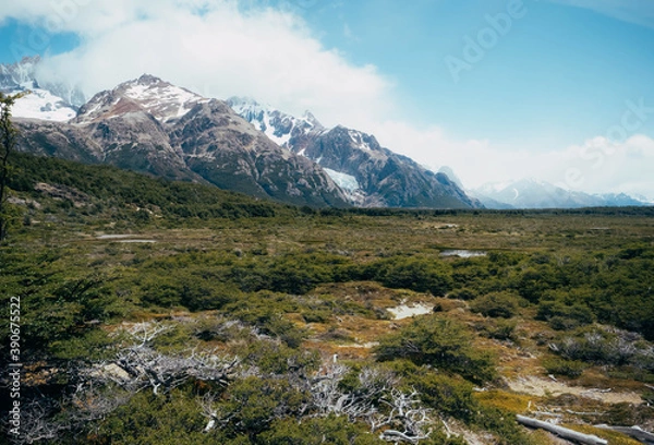 Fototapeta Forests and mountains of Patagonia in South America