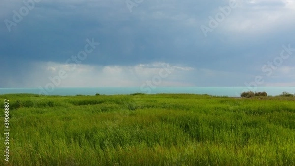 Obraz field and blue sky