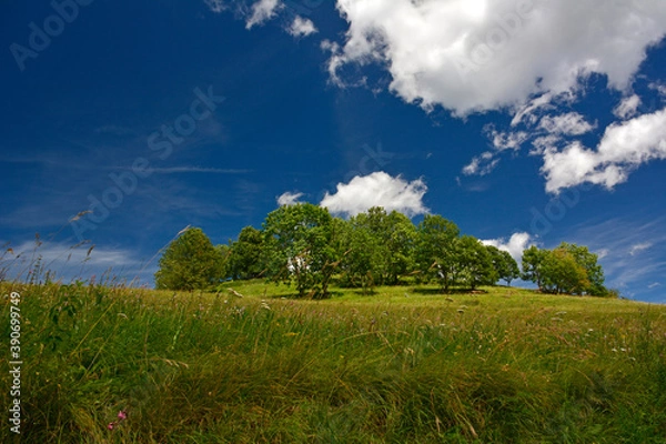 Obraz paysage montagne