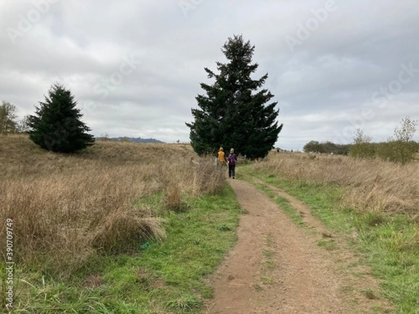 Obraz hiking in the mountains
